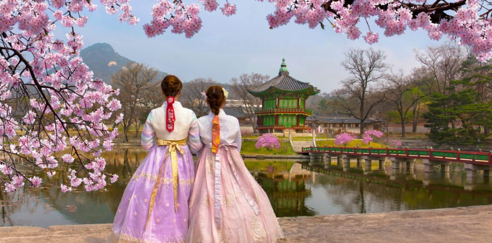 Cherry,Blossom,In,Spring,With,Korean,National,Dress,At,Gyeongbokgung